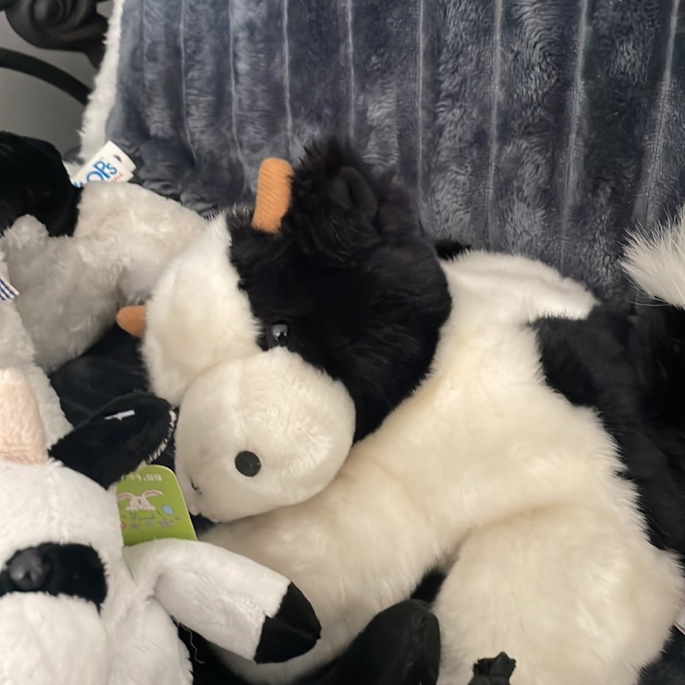 Cute Cow Collection - Picture 6 of 6